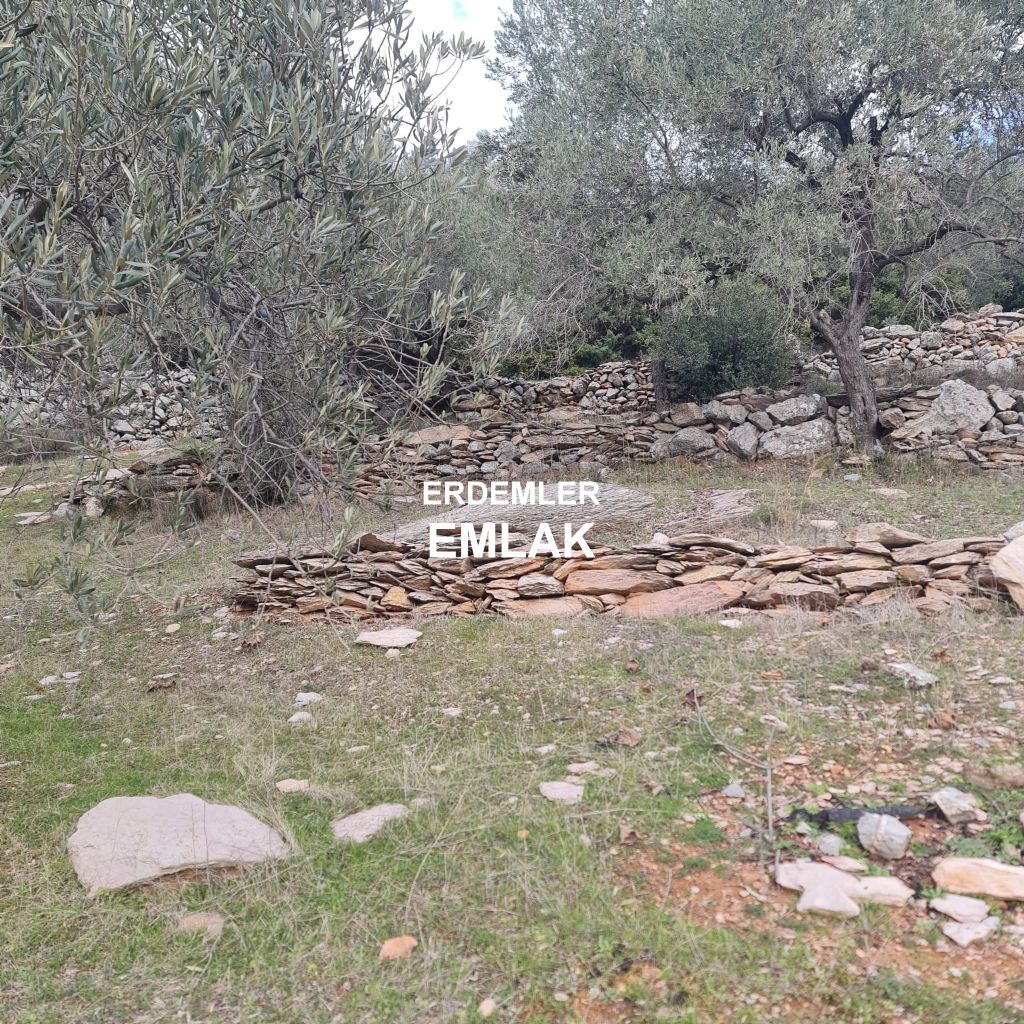 ERDEMLERDEN BORNOVA KAYADİBİNDE KÖŞE PARSEL KUPON TARLA