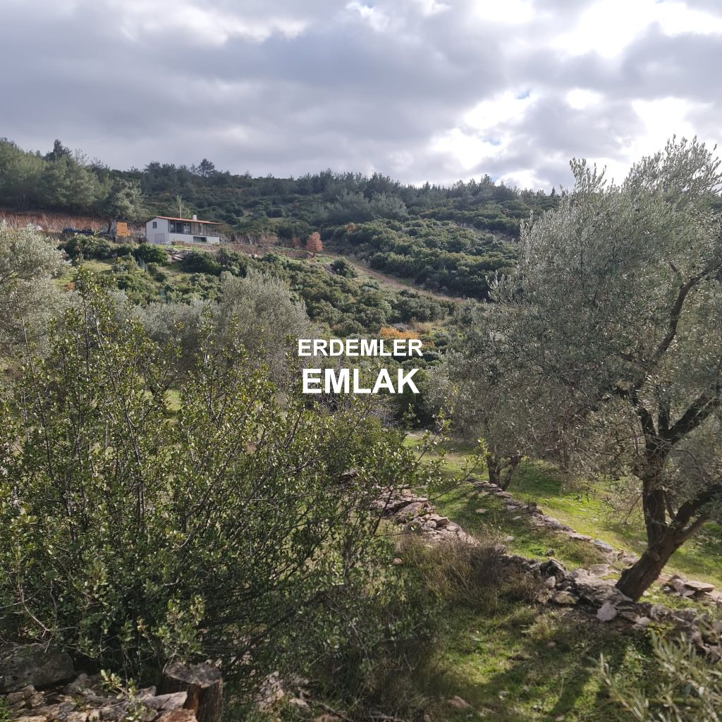 ERDEMLERDEN BORNOVA KAYADİBİNDE KÖŞE PARSEL KUPON TARLA