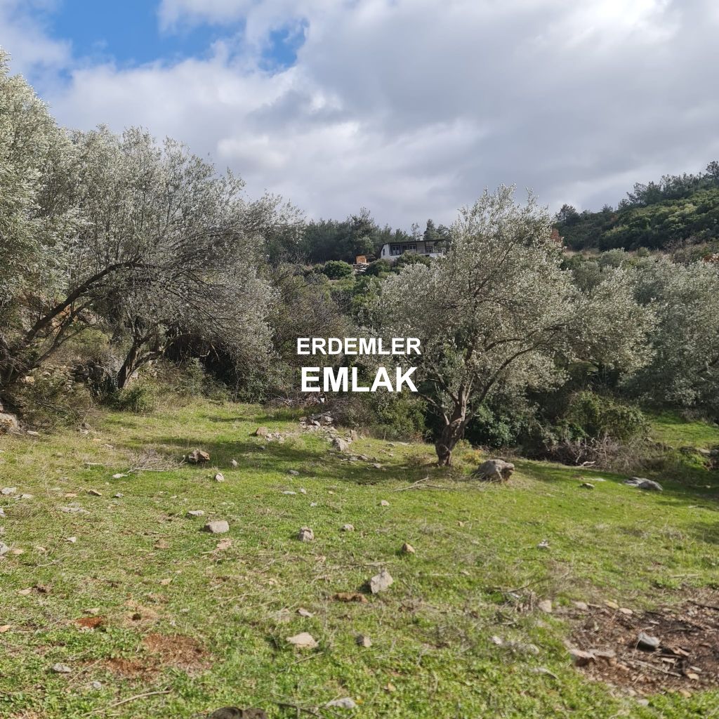 ERDEMLERDEN BORNOVA KAYADİBİNDE KÖŞE PARSEL KUPON TARLA