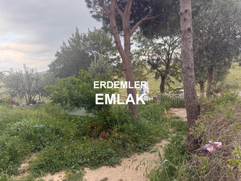 ERDEMLERDEN EVKA 3 MERKEZİNDE YÜKSEK GİRİŞ DAİRE ERDEMLERDEN EVKA 3 MERKEZİNDE YÜKSEK GİRİŞ DAİRE