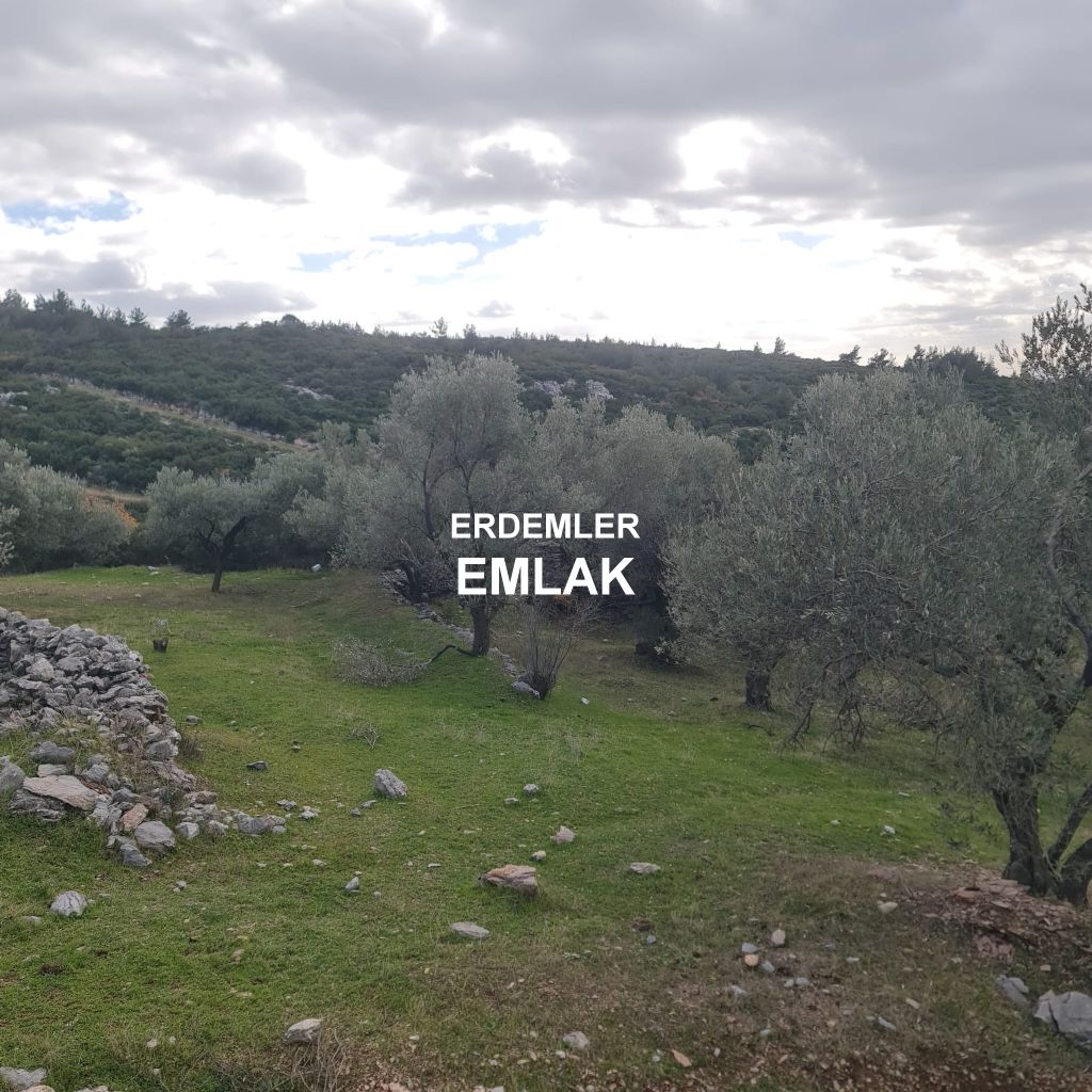 ERDEMLERDEN BORNOVA KAYADİBİNDE KÖŞE PARSEL KUPON TARLA