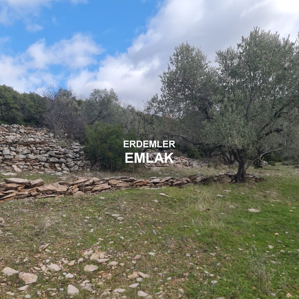 ERDEMLERDEN BORNOVA KAYADİBİNDE KÖŞE PARSEL KUPON TARLA