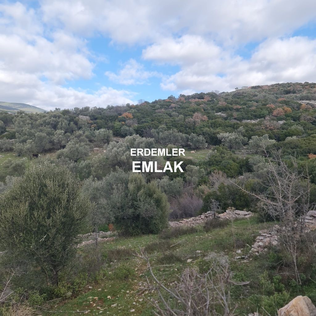 ERDEMLERDEN BORNOVA KAYADİBİNDE KÖŞE PARSEL KUPON TARLA