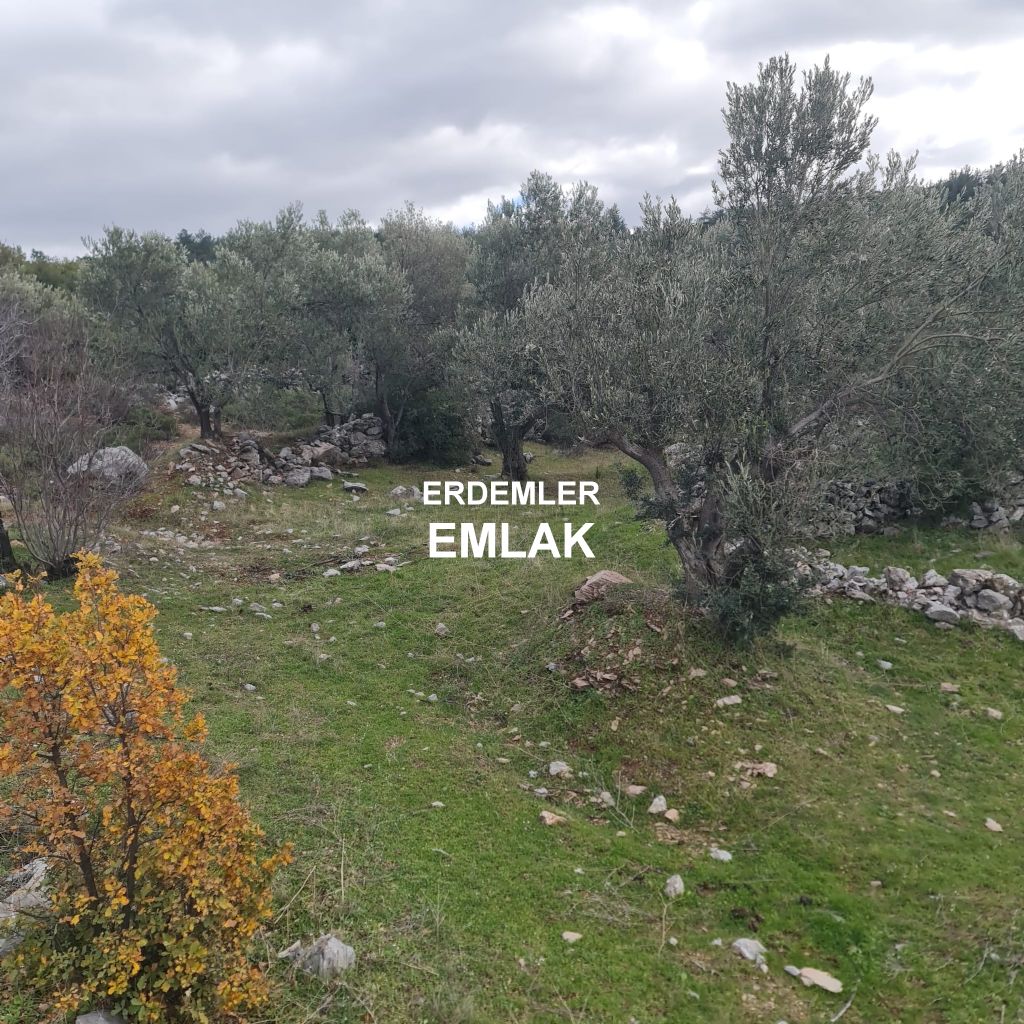 ERDEMLERDEN BORNOVA KAYADİBİNDE KÖŞE PARSEL KUPON TARLA