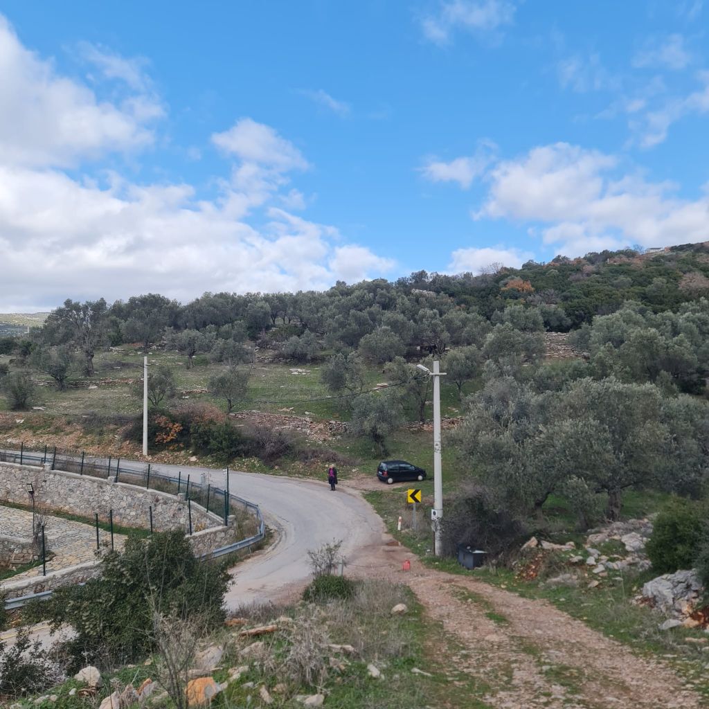 ERDEMLERDEN BORNOVA KAYADİBİNDE KÖŞE PARSEL KUPON TARLA