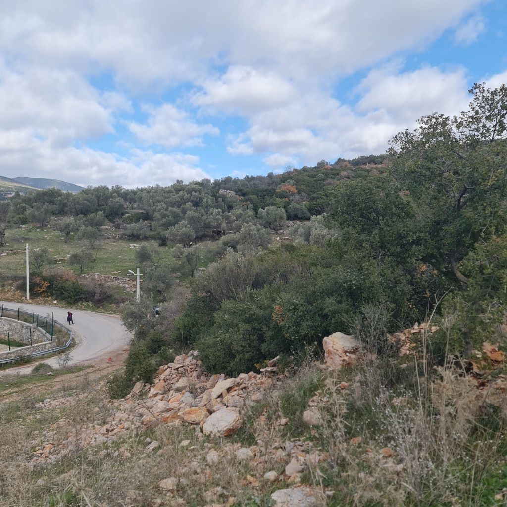 ERDEMLERDEN BORNOVA KAYADİBİNDE KÖŞE PARSEL KUPON TARLA