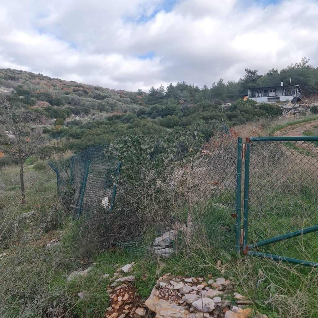 ERDEMLERDEN BORNOVA KAYADİBİNDE KÖŞE PARSEL KUPON TARLA