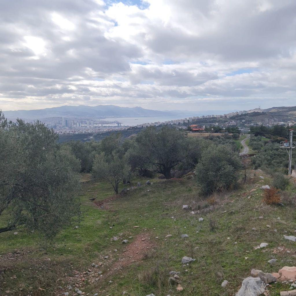 ERDEMLERDEN BORNOVA KAYADİBİNDE KÖŞE PARSEL KUPON TARLA