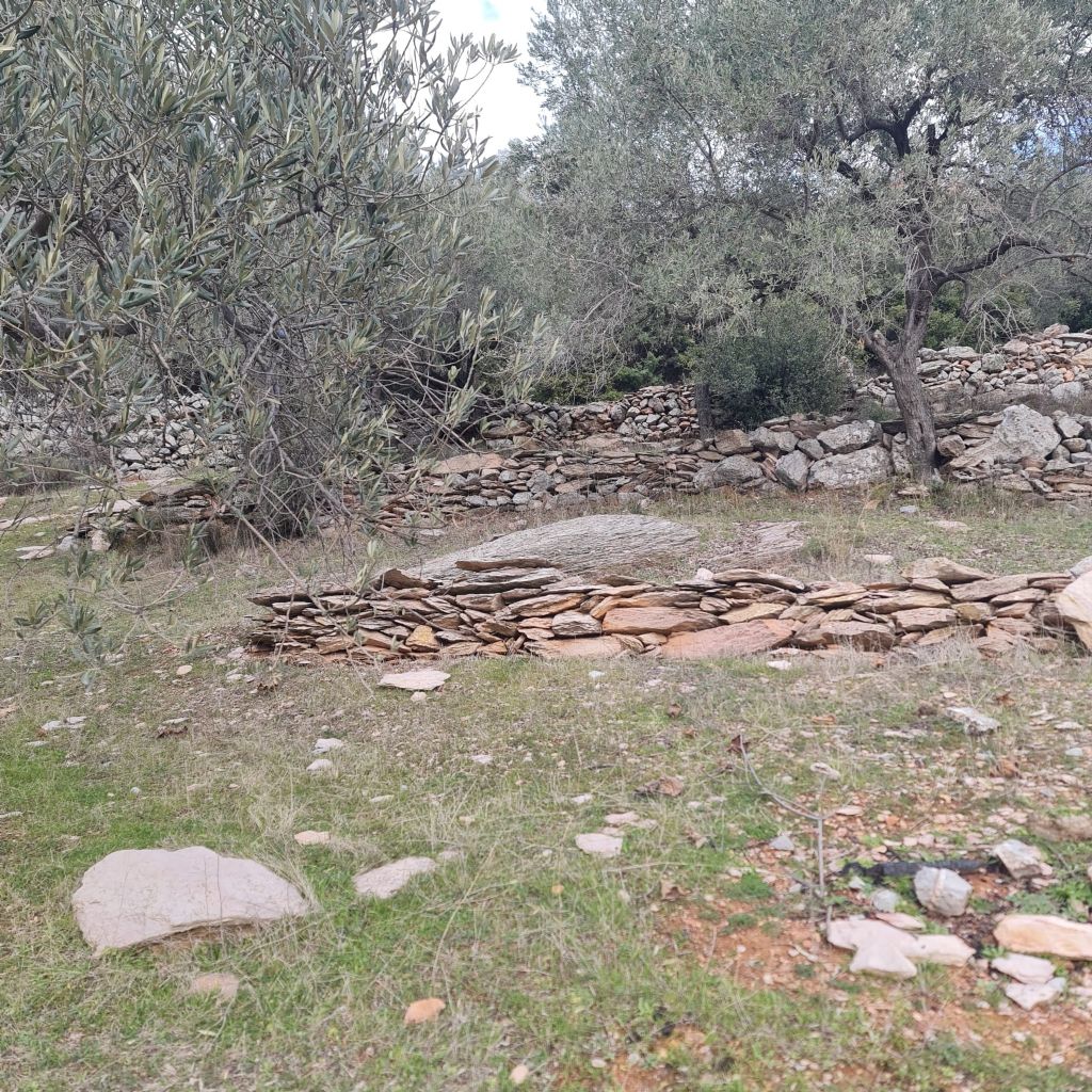 ERDEMLERDEN BORNOVA KAYADİBİNDE KÖŞE PARSEL KUPON TARLA