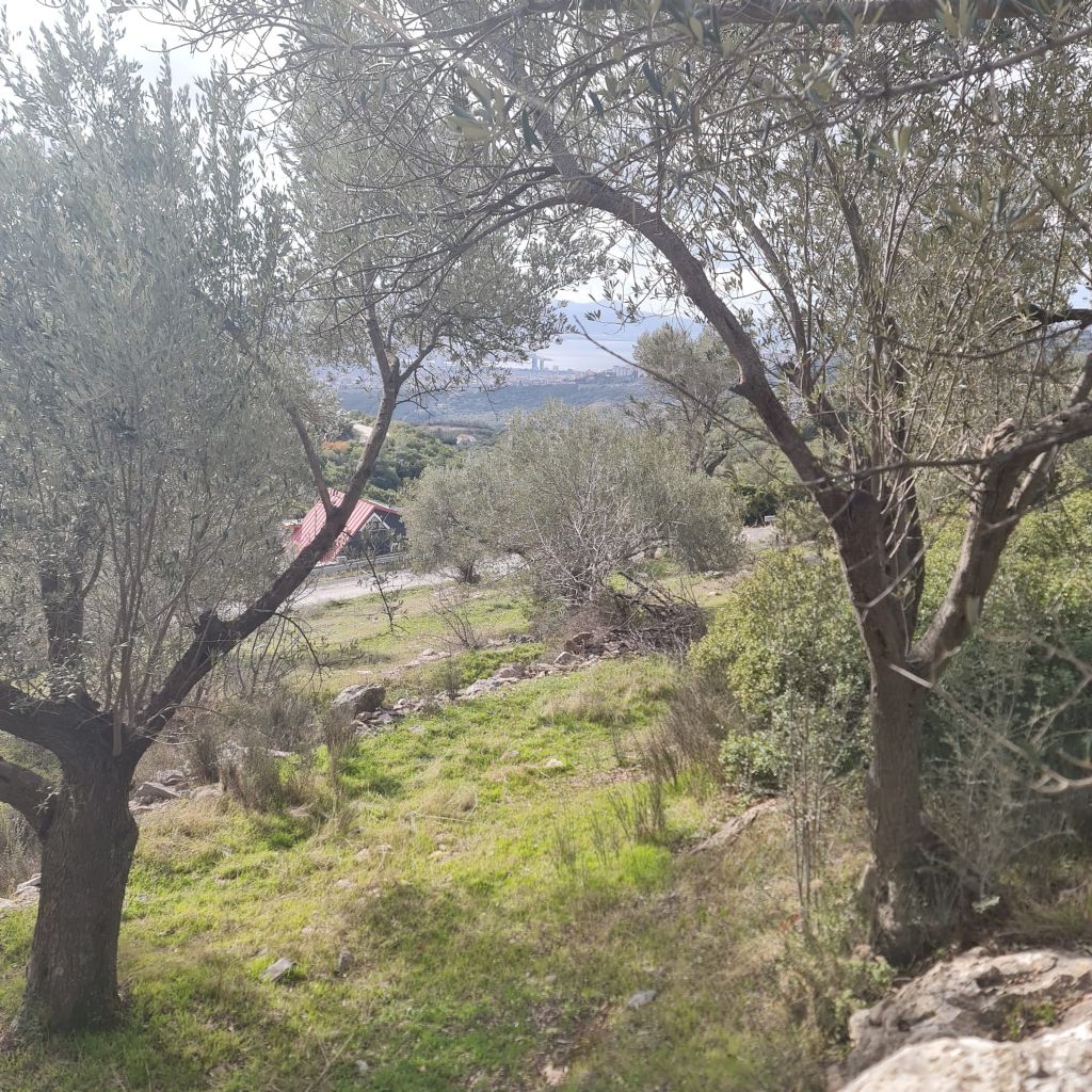 ERDEMLERDEN BORNOVA KAYADİBİNDE KÖŞE PARSEL KUPON TARLA