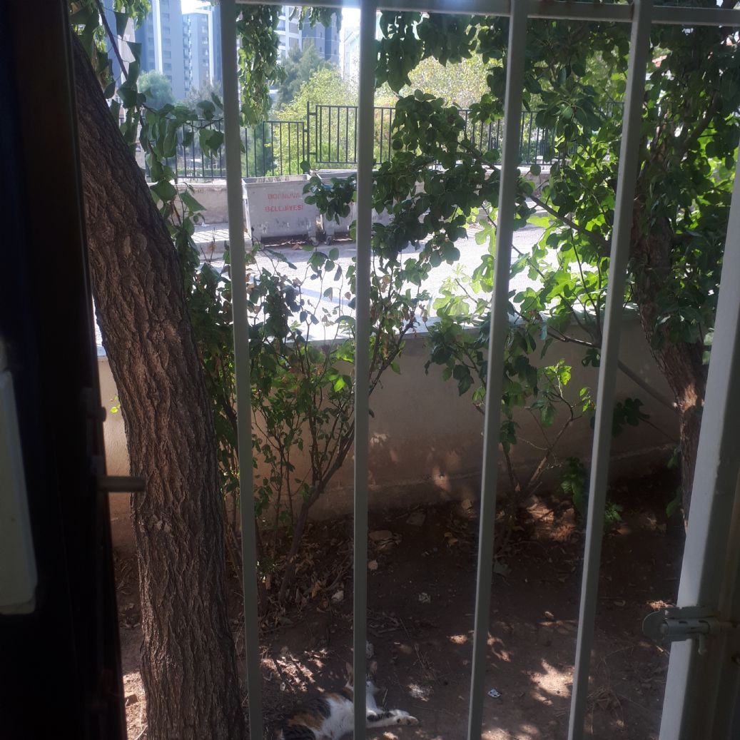 ERDEMLERDEN EVKA 3 DE EŞYALI 1 ODA 1 SALON YÜKSEK GİRİŞ