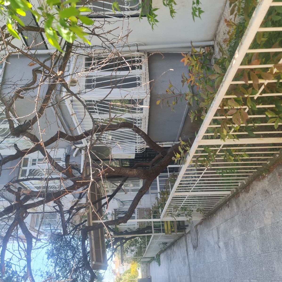 ERDEMLERDEN EVKA 3 DE GİRİŞ KAT 2 ODA 1 SALON